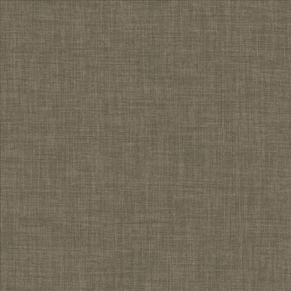 Robust Praline by Kasmir Fabric 5173 100% Polyester
 CHINA 81,000 Wyzenbeek Double Rubs Horizontal: N/A and Vertical: N/A 54 - Fabric Carolina -
