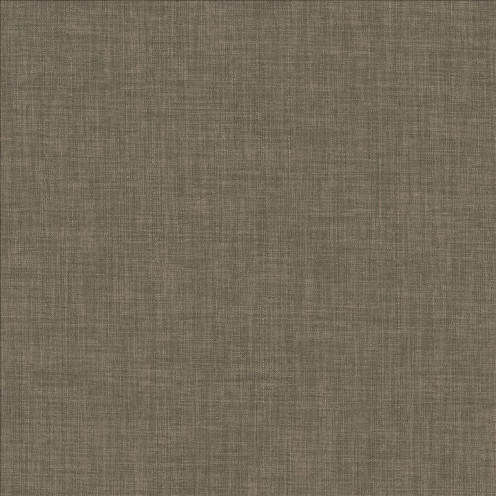 Robust Praline by Kasmir Fabric 5173 100% Polyester
 CHINA 81,000 Wyzenbeek Double Rubs Horizontal: N/A and Vertical: N/A 54 - Fabric Carolina -