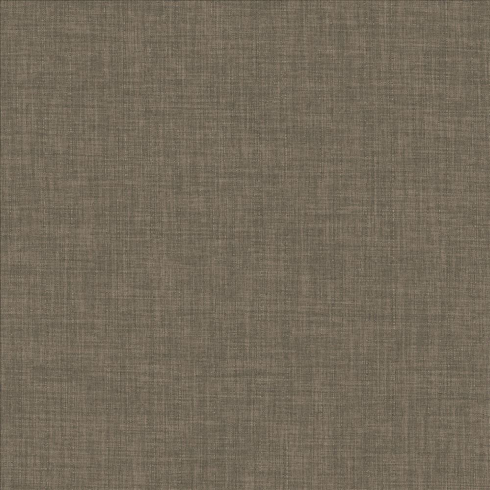 Robust Praline by Kasmir Fabric 5173 100% Polyester
 CHINA 81,000 Wyzenbeek Double Rubs </p><p>Repeat: Horizontal: N/A and Vertical: N/A 54 - Fabric Carolina -