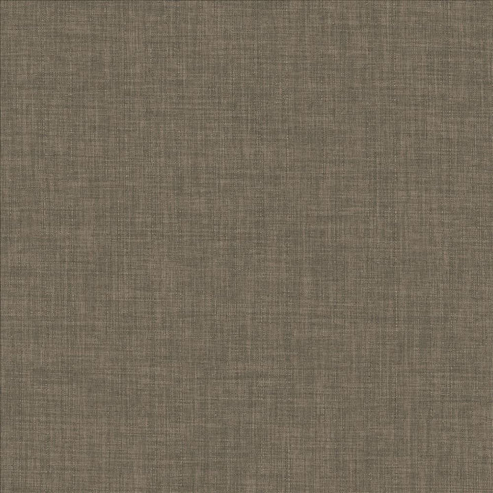 Robust Praline by Kasmir Fabric 5173 100% Polyester
 CHINA 81,000 Wyzenbeek Double Rubs </p><p>Repeat: Horizontal: N/A and Vertical: N/A 54 - Fabric Carolina -