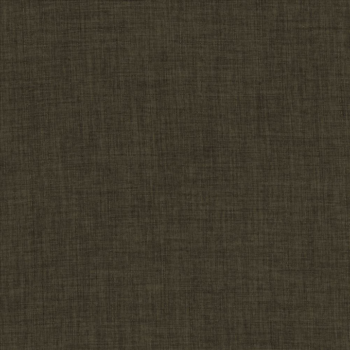 Robust Timber by Kasmir Fabric 5173 100% Polyester
 CHINA 81,000 Wyzenbeek Double Rubs Horizontal: N/A and Vertical: N/A 54 - Fabric Carolina -