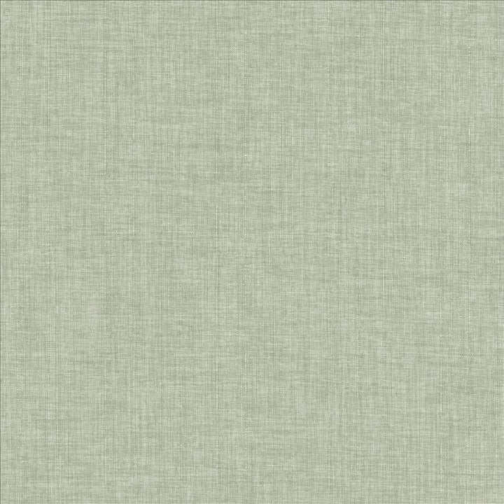 Robust Vapor by Kasmir Fabric 5173 100% Polyester
 CHINA </p><p>Repeat: Horizontal: N/A and Vertical: N/A 54 - Fabric Carolina -