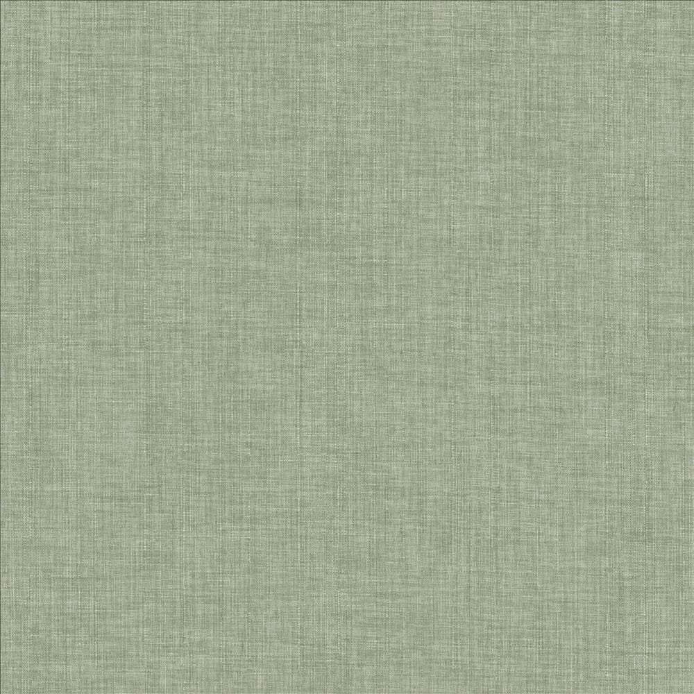 Robust Vapor by Kasmir Fabric 5173 100% Polyester
 CHINA 81,000 Wyzenbeek Double Rubs </p><p>Repeat: Horizontal: N/A and Vertical: N/A 54 - Fabric Carolina -