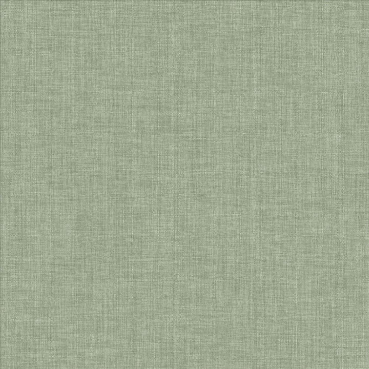 Robust Vapor by Kasmir Fabric 5173 100% Polyester
 CHINA 81,000 Wyzenbeek Double Rubs </p><p>Repeat: Horizontal: N/A and Vertical: N/A 54 - Fabric Carolina -