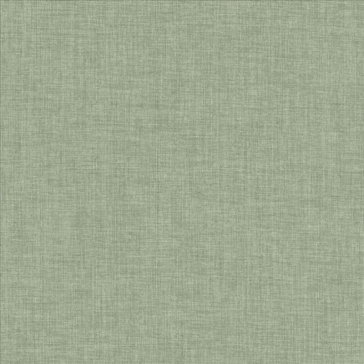 Robust Vapor by Kasmir Fabric 5173 100% Polyester
 CHINA 81,000 Wyzenbeek Double Rubs Horizontal: N/A and Vertical: N/A 54 - Fabric Carolina -