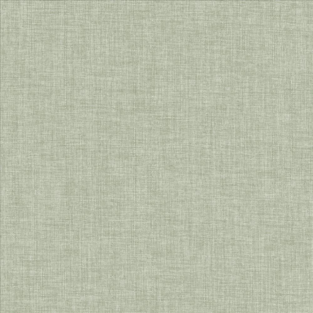 Robust Vapor by Kasmir Fabric 5173 100% Polyester
 CHINA </p><p>Repeat: Horizontal: N/A and Vertical: N/A 54 - Fabric Carolina -
