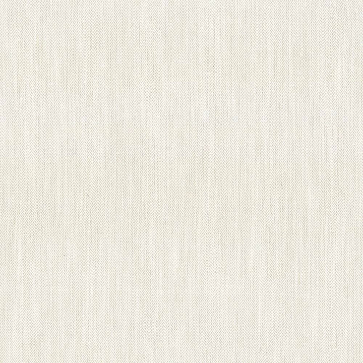 Rockefeller Ivory by Kasmir Fabric 1446 42% Viscose 40% Polyester 18% Linen CHINA 30,000 Martindale Cycles Horizontal: 0 Inches and Vertical: 0 Inches 57 - Fabric Carolina -