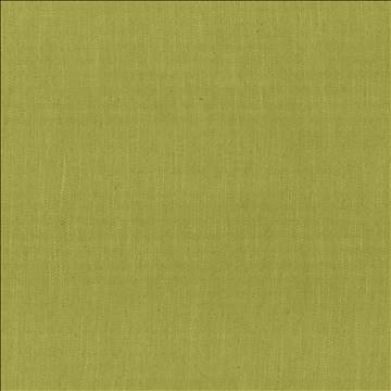 Rockefeller Palm by Kasmir Fabric 1446 42% Viscose 40% Polyester 18% Linen CHINA 30,000 Martindale Cycles H: N/A, V: N/A 57 - Fabric Carolina - Kasmir