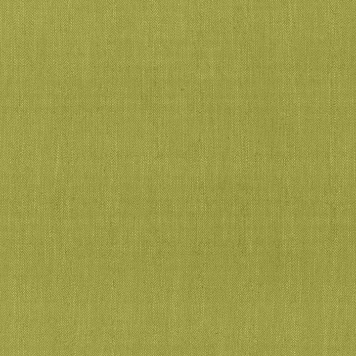 Rockefeller Palm by Kasmir Fabric 1446 CHINA 30,000 Martindale Cycles H: N/A, V:N/A 57 - Fabric Carolina - Kasmir