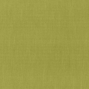 Rockefeller Palm by Kasmir Fabric