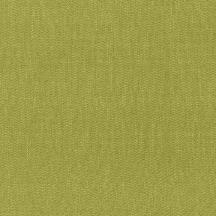 Rockefeller Palm by Kasmir Fabric 1446 42% Viscose
40% Polyester
18% Linen
 CHINA </p><p>Repeat: Horizontal: N/A and Vertical: N/A 57 - Fabric Carolina -