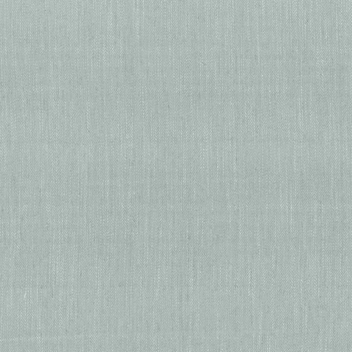 Rockefeller Spa by Kasmir Fabric 1446 42% Viscose
40% Polyester
18% Linen
 CHINA </p><p>Repeat: Horizontal: N/A and Vertical: N/A 57 - Fabric Carolina -