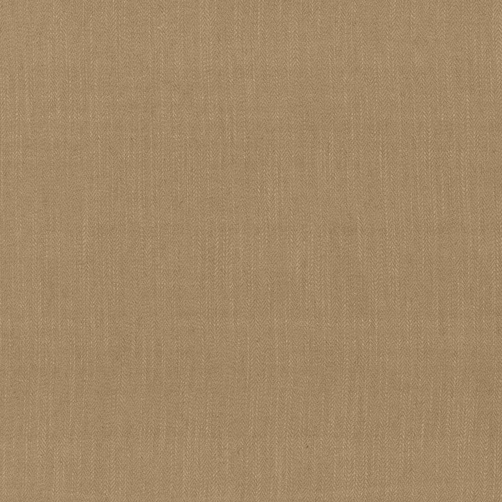 Rockefeller Taupe by Kasmir Fabric 1446 42% Viscose
40% Polyester
18% Linen
 CHINA </p><p>Repeat: Horizontal: N/A and Vertical: N/A 57 - Fabric Carolina -