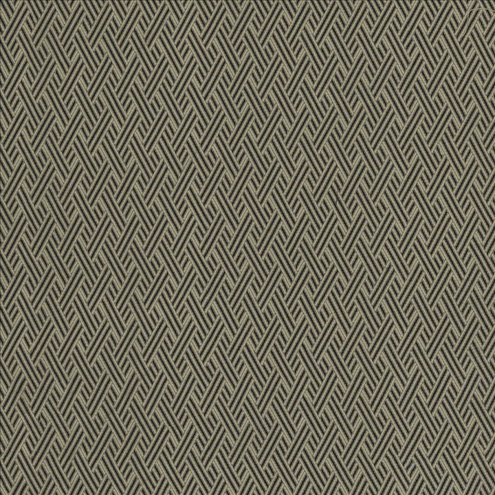 Rockweave Carbon by Kasmir Fabric 5118 100% Polyester USA 6,000 Wyzenbeek Double Rubs Horizontal: 1 inches and Vertical: 1 7/8 inches 55 - Fabric Carolina -