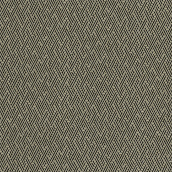 Rockweave Carbon by Kasmir Fabric 5118 100% Polyester
 USA </p><p>Repeat: Horizontal: 1 inches and Vertical: 1 7/8 inches 53 - Fabric Carolina -