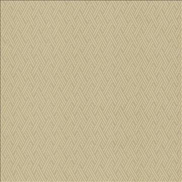 Rockweave Dove by Kasmir Fabric 5118 100% Polyester USA 6,000 Wyzenbeek Double Rubs H: 1 inches, V: 1 7/8 inches 55 - Fabric Carolina - Kasmir