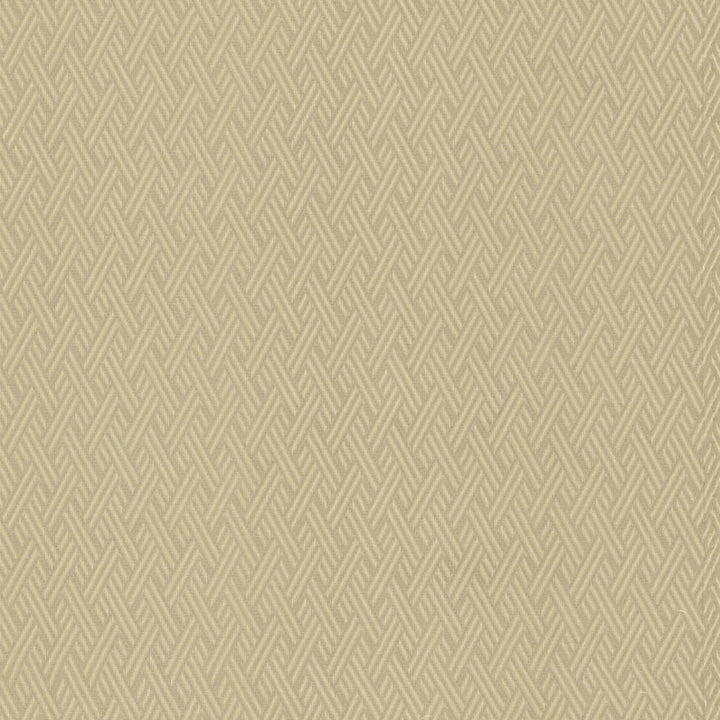 Rockweave Dove by Kasmir Fabric 5118 100% Polyester
 USA </p><p>Repeat: Horizontal: 1 inches and Vertical: 1 7/8 inches 53 - Fabric Carolina -