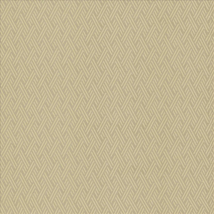 Rockweave Dove by Kasmir Fabric 5118 100% Polyester
 USA 6,000 Wyzenbeek Double Rubs </p><p>Repeat: Horizontal: 1 inches and Vertical: 1 7/8 inches 53 - Fabric Carolina -