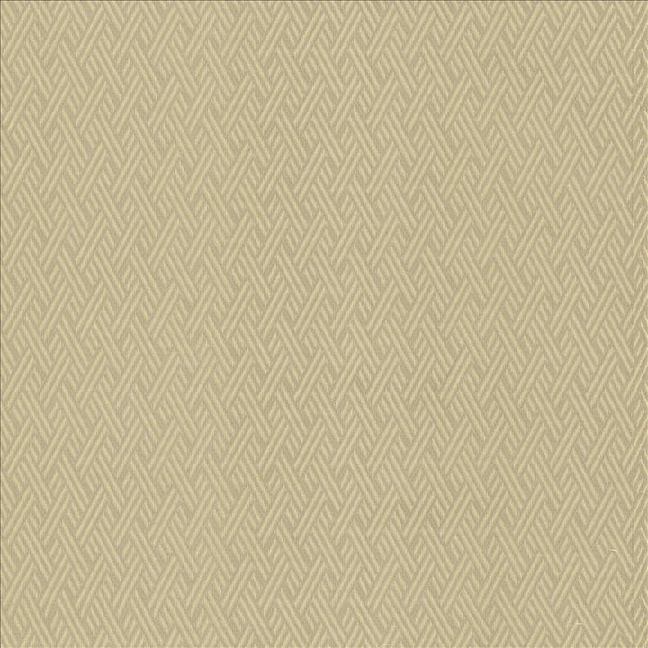 Rockweave Dove by Kasmir Fabric 5118 100% Polyester
 USA </p><p>Repeat: Horizontal: 1 inches and Vertical: 1 7/8 inches 53 - Fabric Carolina -