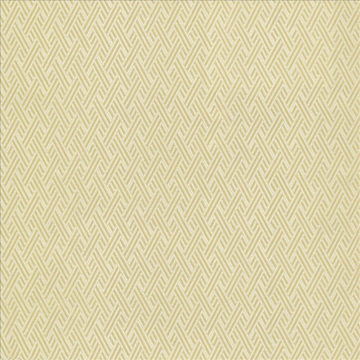 Rockweave Linen by Kasmir Fabric 5118 100% Polyester
 USA </p><p>Repeat: Horizontal: 1 inches and Vertical: 1 7/8 inches 53 - Fabric Carolina -