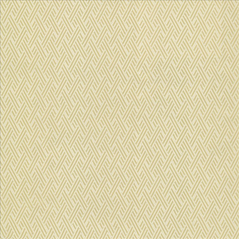 Rockweave Linen by Kasmir Fabric 5118 100% Polyester USA 6,000 Wyzenbeek Double Rubs Horizontal: 1 inches and Vertical: 1 7/8 inches 55 - Fabric Carolina -