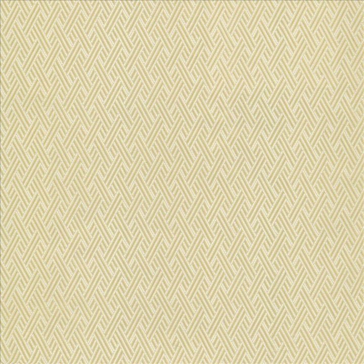 Rockweave Linen by Kasmir Fabric 5118 100% Polyester
 USA 6,000 Wyzenbeek Double Rubs </p><p>Repeat: Horizontal: 1 inches and Vertical: 1 7/8 inches 53 - Fabric Carolina -