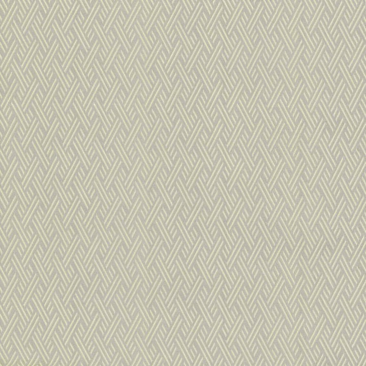 Rockweave Silver by Kasmir Fabric 5118 100% Polyester
 USA </p><p>Repeat: Horizontal: 1 inches and Vertical: 1 7/8 inches 53 - Fabric Carolina -