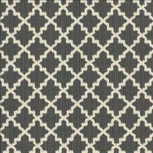 Roncador Charcoal by Kasmir Fabric