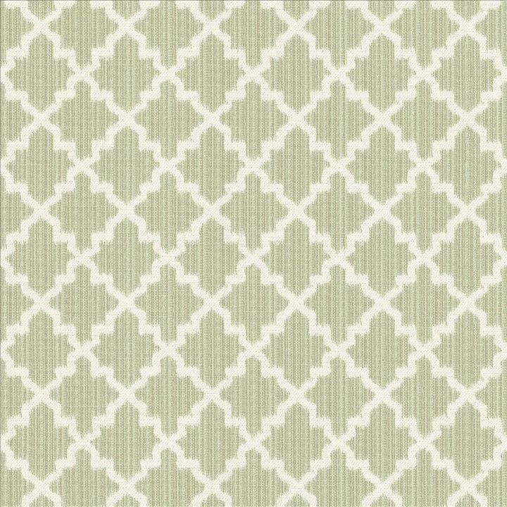 Roncador Silver Sage by Kasmir Fabric 5124 58% Cotton
42% Polyester
 TURKEY </p><p>Repeat: Horizontal: 2 7/8 inches and Vertical: 3 inches 54 - Fabric Carolina -