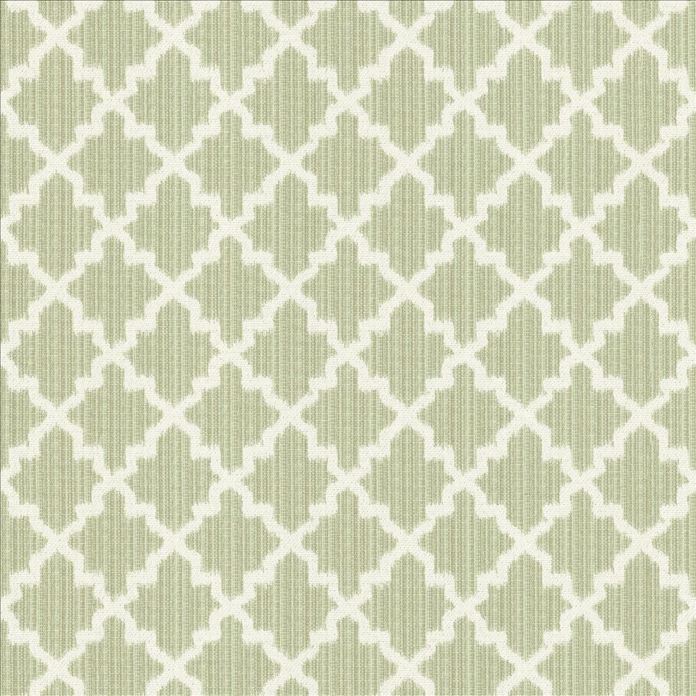 Roncador Silver Sage by Kasmir Fabric 5124 58% Cotton 42% Polyester TURKEY 35,000 Wyzenbeek Double Rubs Horizontal: 2 7/8 inches and Vertical: 3 inches 54 - Fabric Carolina -