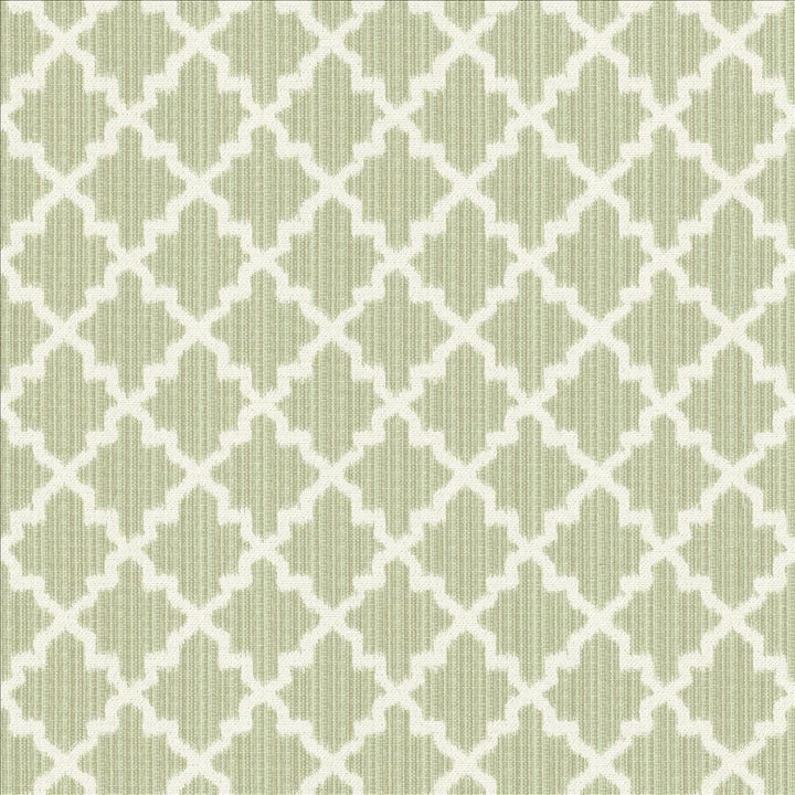 Roncador Silver Sage by Kasmir Fabric 5124 58% Cotton 42% Polyester TURKEY 35,000 Wyzenbeek Double Rubs Horizontal: 2 7/8 inches and Vertical: 3 inches 54 - Fabric Carolina -