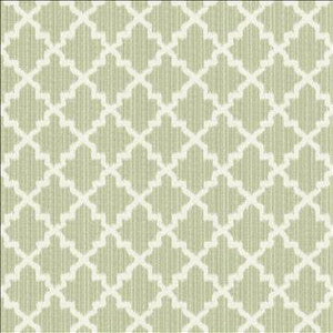 Roncador Silver Sage by Kasmir Fabric
