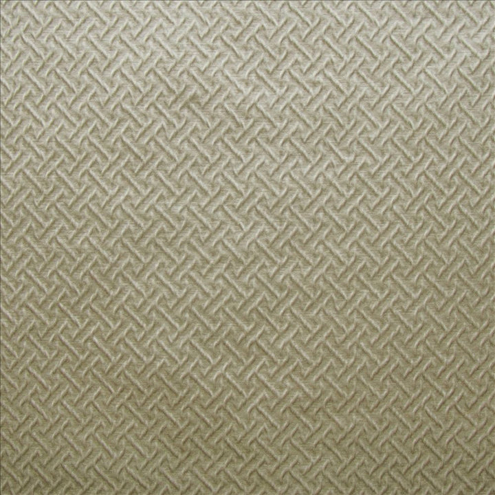 Rossford Ecru  by Kasmir Fabric 1478 59% Cotton 41% Polyester  INDIA  </p><p>Repeat: Horizontal: 1 inches and Vertical: 1 inches 56  - Fabric Carolina -