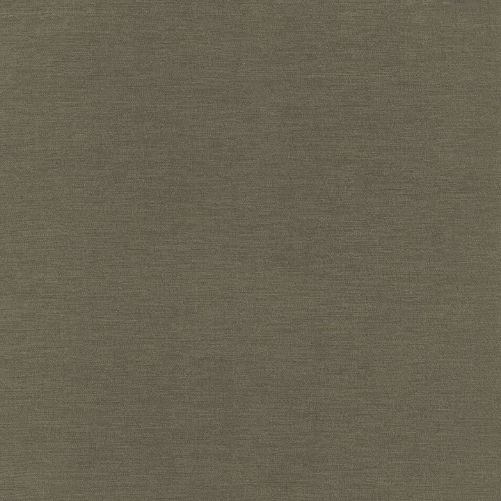 Rouen Java by Kasmir Fabric 5132 100% Polyester
 CHINA </p><p>Repeat: Horizontal: N/A and Vertical: N/A 54 - Fabric Carolina -