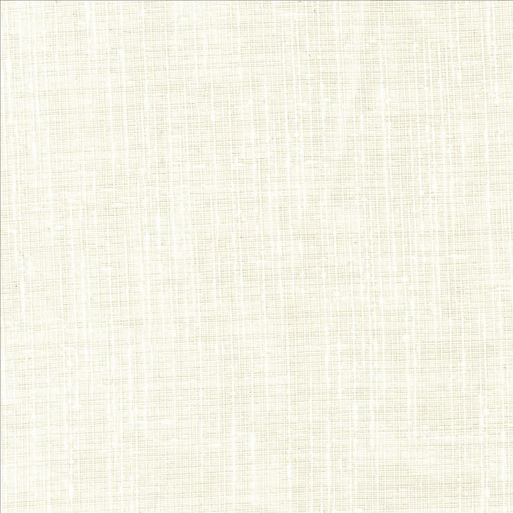 Roundtrip Natural by Kasmir Fabric 5076 100% Polyester
 TURKEY Horizontal: N/A and Vertical: N/A 117 - Fabric Carolina -