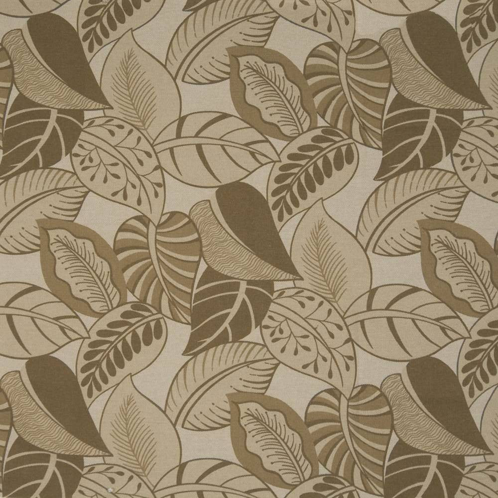 Rousseau Latte by Kasmir Fabric 1367 USA 15,000 Wyzenbeek Double Rubs H: 13 4/8 inches, V:25 2/8 inches 54 - 57 - Fabric Carolina - Kasmir