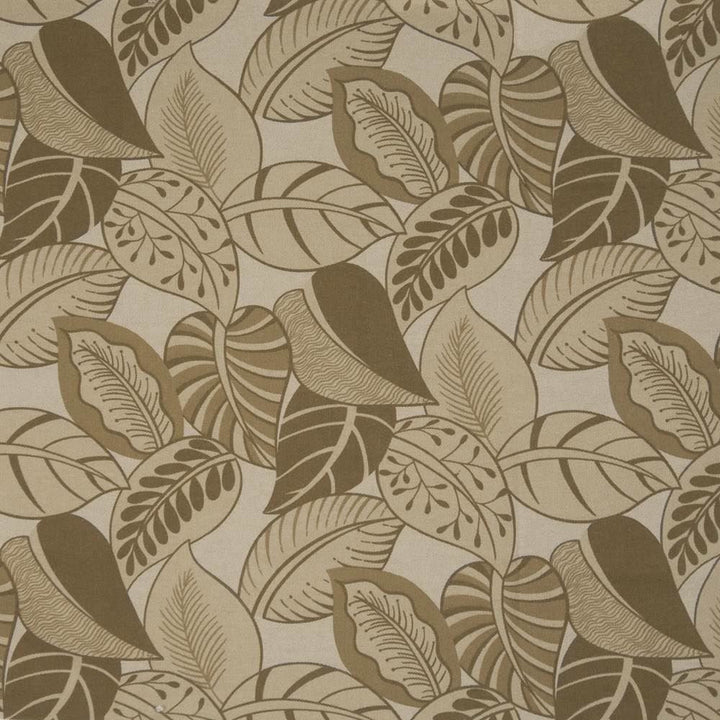 Rousseau Latte by Kasmir Fabric 1367 86% Cotton 14% Viscose USA 15,000 Wyzenbeek Double Rubs Horizontal: 13 4/8 inches and Vertical: 25 2/8 inches 54 - 57 - Fabric Carolina -