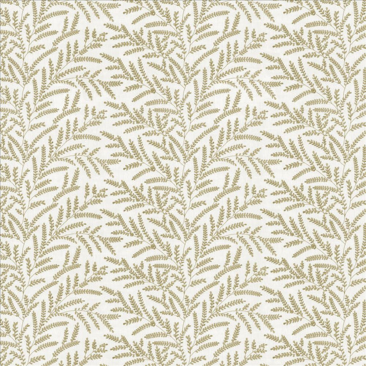 Rowan Leaf Patina by Kasmir Fabric 5156 52% Cotton
48% Polyester
 INDIA 30,000 Wyzenbeek Double Rubs </p><p>Repeat: Horizontal: 12 7/8 inches and Vertical: 6 2/8 inches 52 - Fabric Carolina -