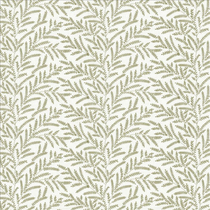 Rowan Leaf Spring by Kasmir Fabric 5156 52% Cotton
48% Polyester
 INDIA </p><p>Repeat: Horizontal: 12 7/8 inches and Vertical: 6 2/8 inches 55 - Fabric Carolina -