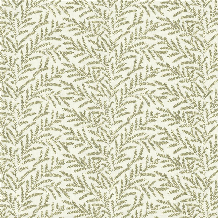 Rowan Leaf Spring by Kasmir Fabric 5156 52% Cotton 48% Polyester INDIA 30,000 Wyzenbeek Double Rubs Horizontal: 12 7/8 inches and Vertical: 6 2/8 inches 55 - Fabric Carolina -