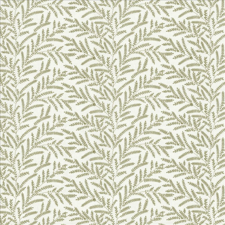 Rowan Leaf Spring by Kasmir Fabric 5156 52% Cotton
48% Polyester
 INDIA 30,000 Wyzenbeek Double Rubs Horizontal: 12 7/8 inches and Vertical: 6 2/8 inches 55 - Fabric Carolina -