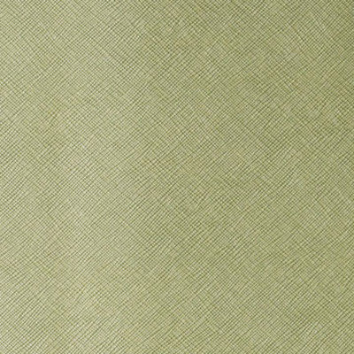 Roxanne Green Tea by Kravet Contract Fabric