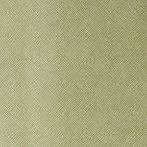 Roxanne Green Tea by Kravet Contract Fabric