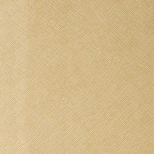 Roxanne Blondie by Kravet Contract Fabric