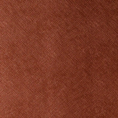 Roxanne Cinnamon by Kravet Contract Fabric