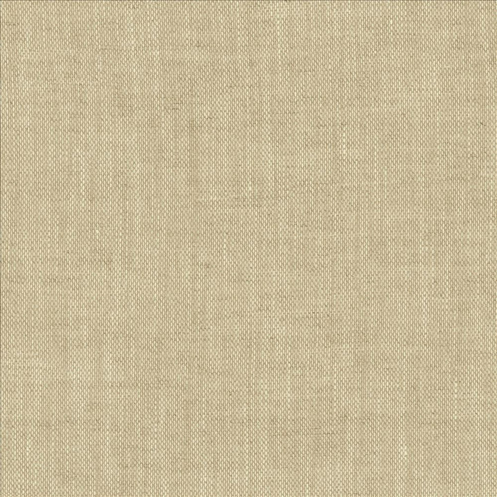 Roxy Oatmeal by Kasmir Fabric 1459 100% Linen
 POLAND Not Tested </p><p>Repeat: Horizontal: N/A and Vertical: N/A 55 - Fabric Carolina -