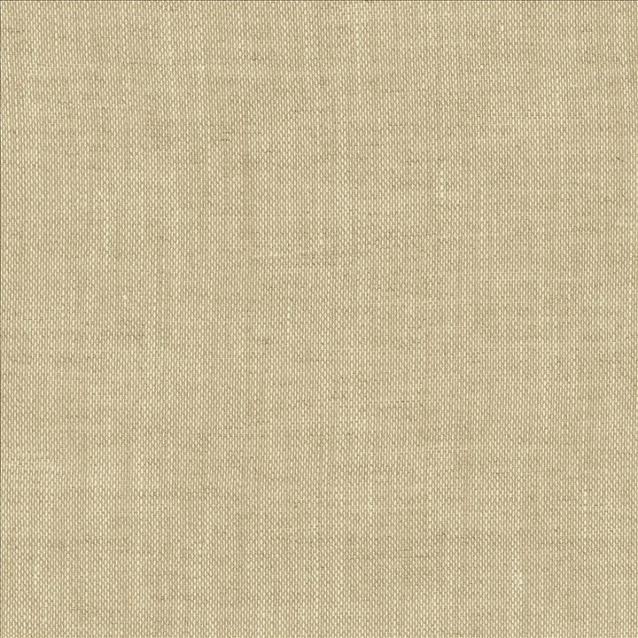 Roxy Oatmeal  by Kasmir Fabric See sample 100% Linen
 POLAND Not Tested </p><p>Repeat: Horizontal: N/A and Vertical: N/A 55  - Fabric Carolina -