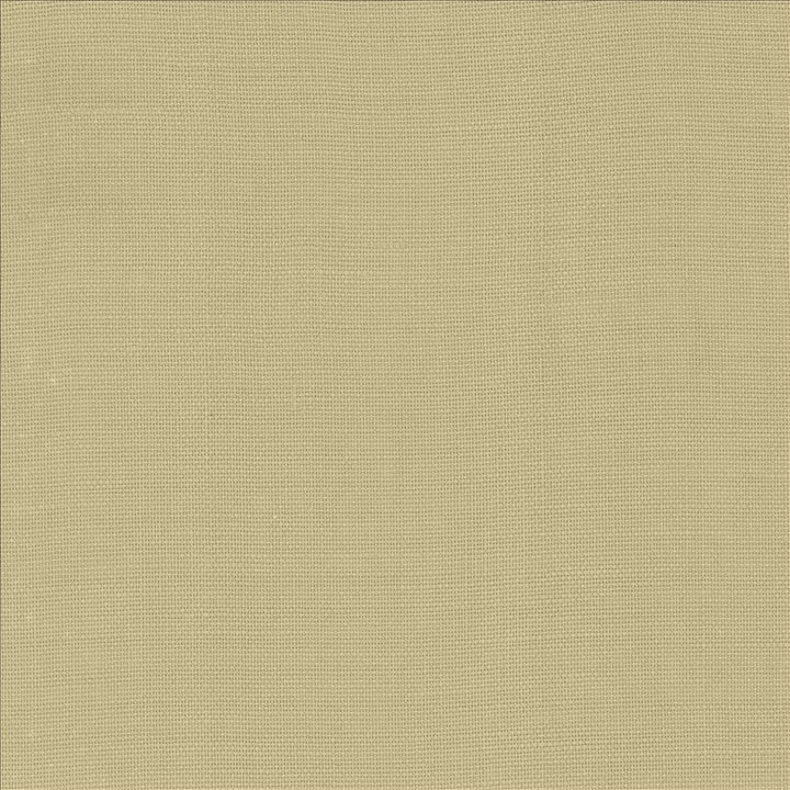 Roxy Taupe by Kasmir Fabric 1459 100% Linen
 POLAND Not Tested </p><p>Repeat: Horizontal: N/A and Vertical: N/A 55 - Fabric Carolina -