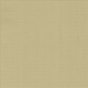 Roxy Taupe by Kasmir Fabric