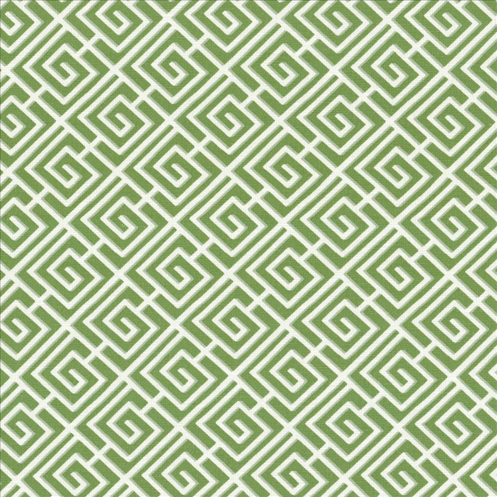 Royal Pagoda Kiwi by Kasmir Fabric 5090 100% Cotton
 PAKISTAN 15,000 Wyzenbeek Double Rubs Horizontal: 4 4/8 inches and Vertical: 4 4/8 inches 54 - Fabric Carolina -